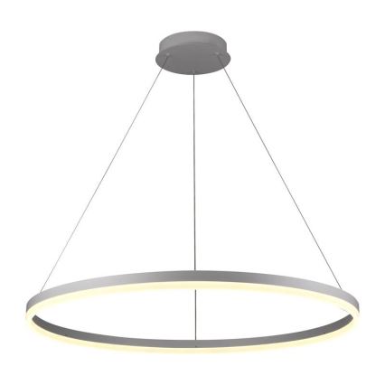 Brilagi - CIRCLE LED dimmable pendant light suspended on cable, LED 55W/230V, 3000–6500K, Ø 80 cm, white + remote control