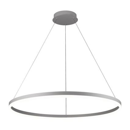 Brilagi - CIRCLE LED dimmable pendant light suspended on cable, LED 55W/230V, 3000–6500K, Ø 80 cm, white + remote control