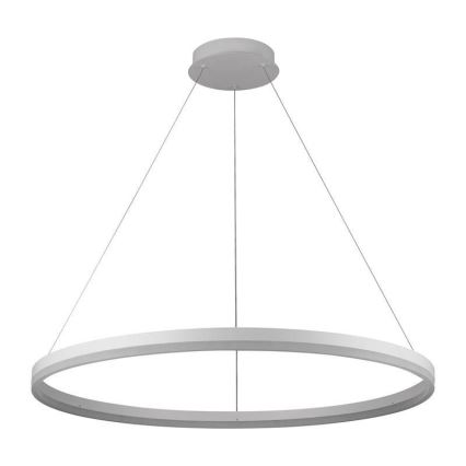 Brilagi - CIRCLE LED dimmable pendant light suspended on cable, LED 55W/230V, 3000–6500K, Ø 80 cm, white + remote control