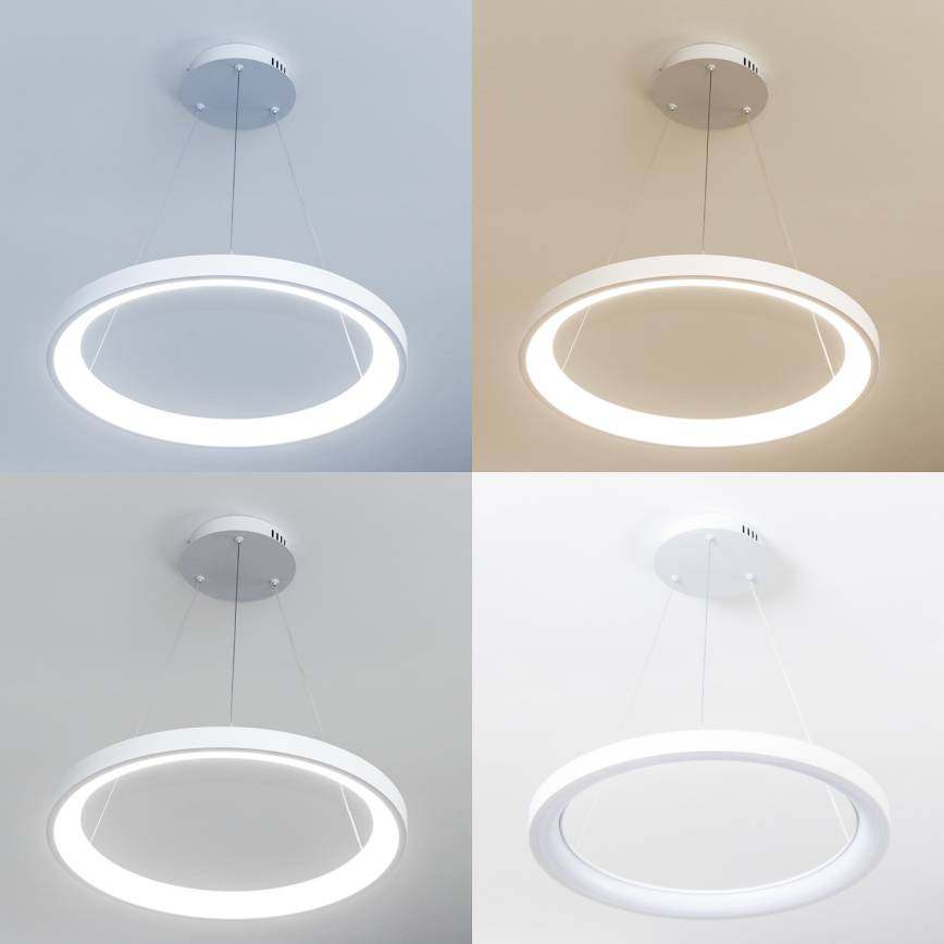 Brilagi - LED dimmable cable-hung pendant FALCON SLIM LED/42W/230V 3000-6500K Ø 50 cm white + remote control