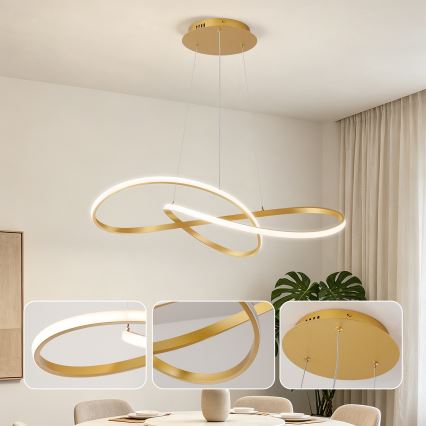 BRILAGI - LED Dimmable Cable Pendant Chandelier INFINITY LED/80W/230V 3000-6000K 80x80 cm Gold + Remote Control