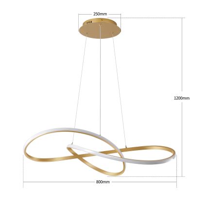 Brilagi - LED Dimmable Cable Pendant Chandelier INFINITY LED/80W/230V 3000-6000K 80x80 cm Gold + Remote Control