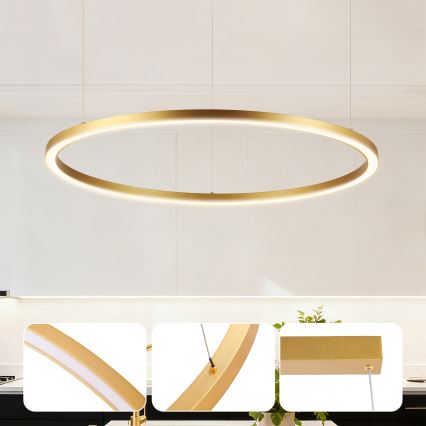 Brilagi - PORTOFINO LED dimmable cable pendant light, 60W, 230V, 3000–6000K, Ø 80 cm, gold + remote control
