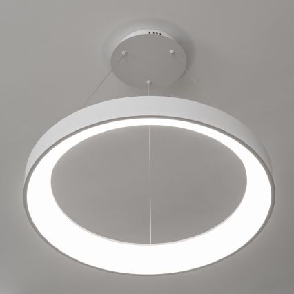 Brilagi - FALCON II Dimmable LED Cable Pendant, 99W, 230V, 3000–6500K, Ø 60 cm, White + Remote Control