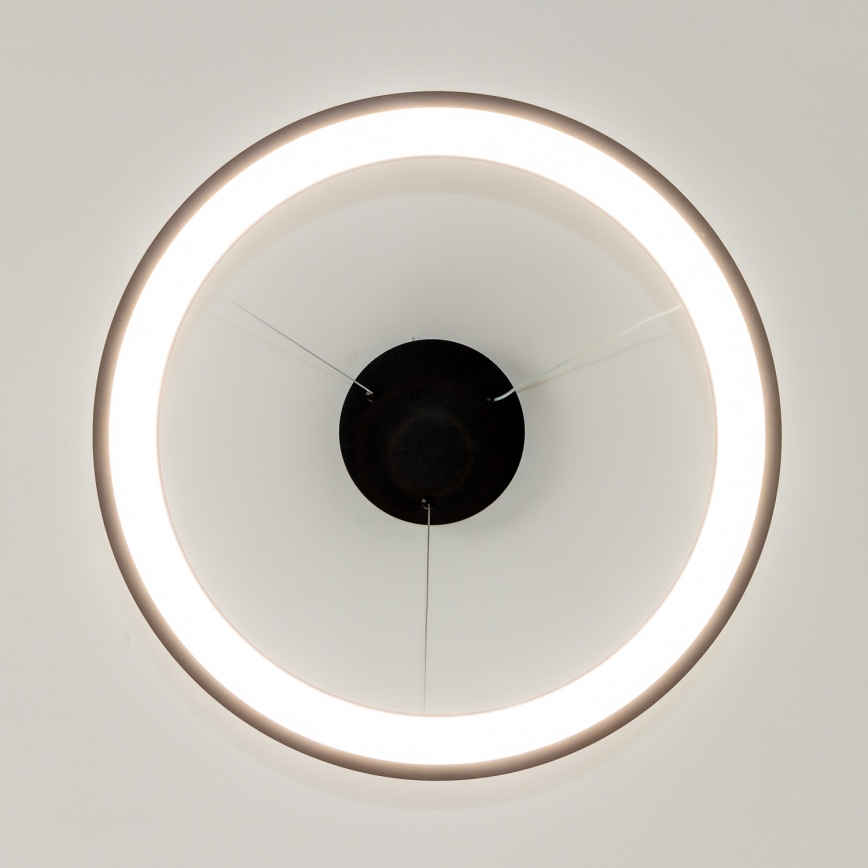 Brilagi - FALCON SLIM Dimmable LED Cable-Hung Pendant Light LED/42W/230V 3000-6500K diam. 50 cm Black + Remote Control