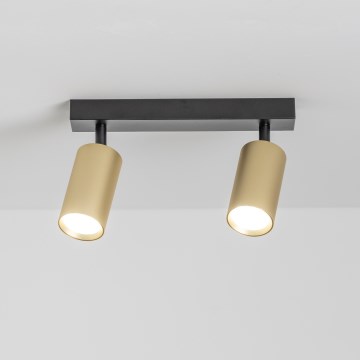 Brilagi - Dimmable LED spotlight SELE GOLDEN 2xGU10/6.5W/230V 2700-6500K black/gold