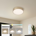 BRILAGI - Dimmable POOL LED ceiling light 24W/230V 3000-6000K dia. 20 cm gold + remote control