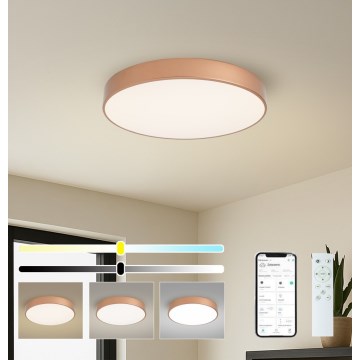 BRILAGI - Dimmable POOL SMART LED Ceiling Light LED/60W/230V 3000-6000K Ø 50 cm Wi-Fi Tuya bronze + remote control