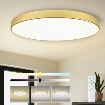 Brilagi - Dimmable POOL SMART LED Luminaire / 180W / 230V / 120 cm / Gold / Wi-Fi (Tuya) + Remote Control