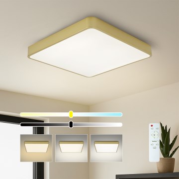 BRILAGI - Dimmable POOL SQUARE LED Ceiling Light LED/48W/230V 3000-6000K 50x50 cm Gold + Remote Control