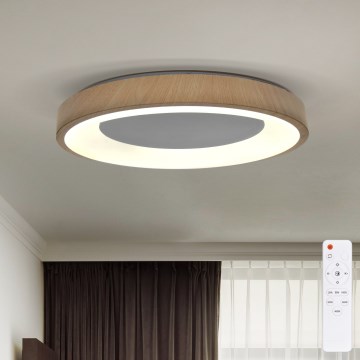 Brilagi - DORIA LED Dimmable Ceiling Light LED/60W/230V 3000-6500K Ø 60 cm + Remote Control