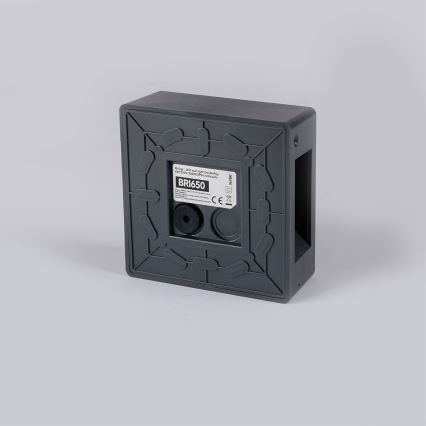 Brilagi - DOUBLERAY LED/6W/230V Anthracite Outdoor Wall Light IP54