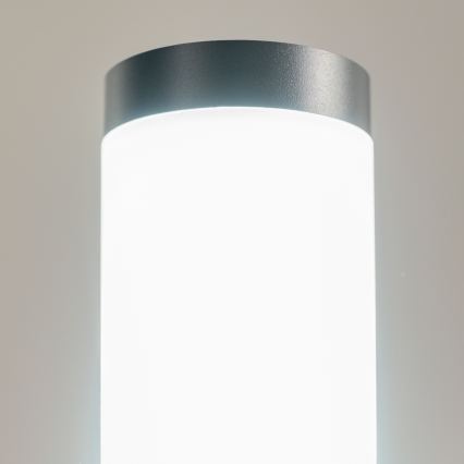 BRILAGI - ELIA Outdoor Lamp 1x E27/20W/230V IP44 100 cm Anthracite