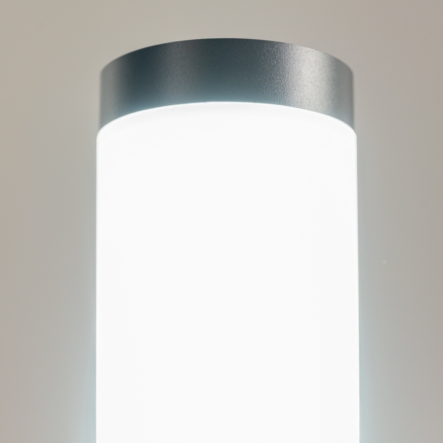BRILAGI - ELIA Outdoor Lamp 1x E27/20W/230V IP44 50 cm Anthracite