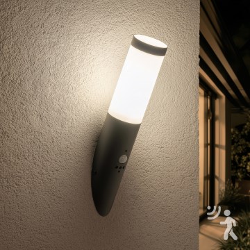 BRILAGI - ELIA Outdoor Wall Light with Motion Sensor, 1xE27/20W/230V, IP44, Anthracite