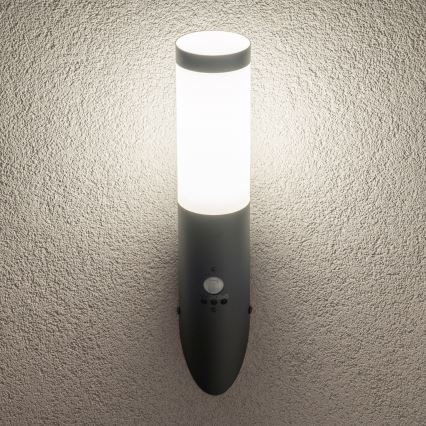 BRILAGI - ELIA Outdoor Wall Light with Motion Sensor, 1xE27/20W/230V, IP44, Anthracite
