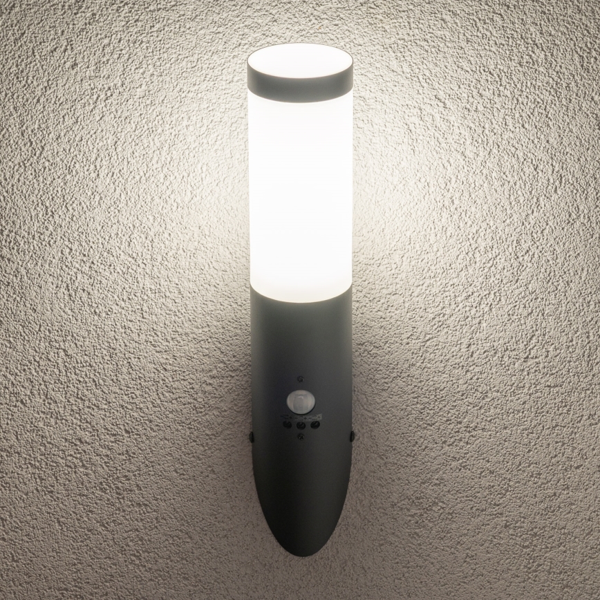 BRILAGI - ELIA Outdoor Wall Light with Motion Sensor, 1xE27/20W/230V, IP44, Anthracite