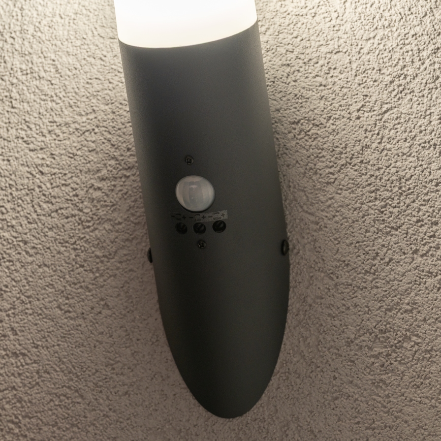 BRILAGI - ELIA Outdoor Wall Light with Motion Sensor, 1xE27/20W/230V, IP44, Anthracite