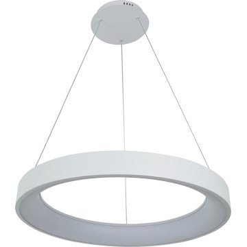 Brilagi - FALCON II Dimmable LED Cable Pendant, 99W, 230V, 3000–6500K, Ø 60 cm, White + Remote Control