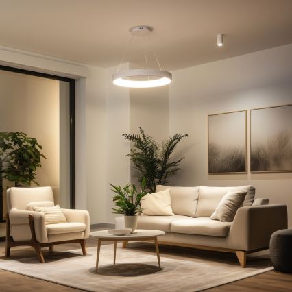 Brilagi - LED dimmable pendant on cable FALCON II LED/99W/230V 3000-6500K dia. 60 cm white + remote control