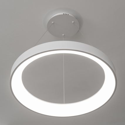 Brilagi - LED dimmable pendant on cable FALCON II LED/99W/230V 3000-6500K dia. 60 cm white + remote control