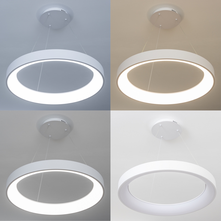 Brilagi - LED dimmable pendant on cable FALCON II LED/99W/230V 3000-6500K dia. 60 cm white + remote control