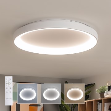 Brilagi - FALCON II Dimmable LED Ceiling Light, 108W, 230V, 3000–6500K, Ø 80 cm, White + Remote Control