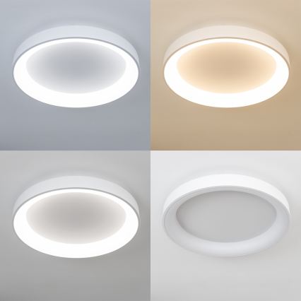Brilagi - FALCON II LED Dimmable Ceiling Light LED/99W/230V 3000–6500K Ø60 cm White + Remote Control