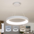 BRILAGI - FALCON II LED Dimmable Cable-Suspended Pendant LED/99W/230V 3000-6500K Ø 60 cm White + Remote Control