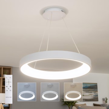 BRILAGI - FALCON II LED Dimmable Cable-Suspended Pendant LED/99W/230V 3000-6500K Ø 60 cm White + Remote Control