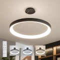 Brilagi - FALCON II LED Dimmable Pendant Light on Cable LED/108W/230V 3000-6500K Ø 80 cm Black + Remote Control