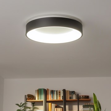 Brilagi - FALCON LED dimmable ceiling light, 80W, 230V, 3000–6500 K, Ø 60 cm, black, with remote control