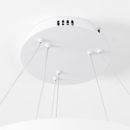 Brilagi - Dimmable LED Cable-Hung Pendant FALCON SLIM LED/68W/230V 3000-6500K Ø50 cm White + Remote Control