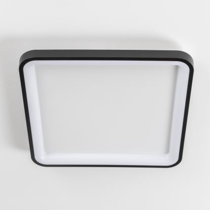 Brilagi - FALCON SLIM LED dimmable ceiling light LED/50W/230V 3000-6500K 50x50 cm black + remote control