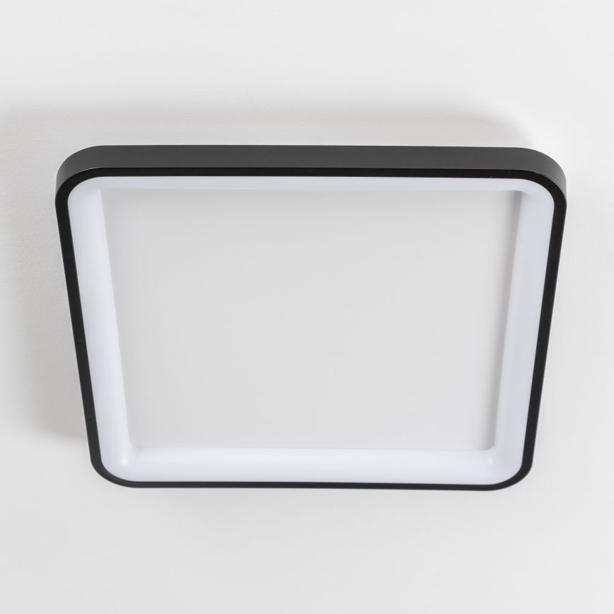 Brilagi - FALCON SLIM LED dimmable ceiling light LED/50W/230V 3000-6500K 50x50 cm black + remote control