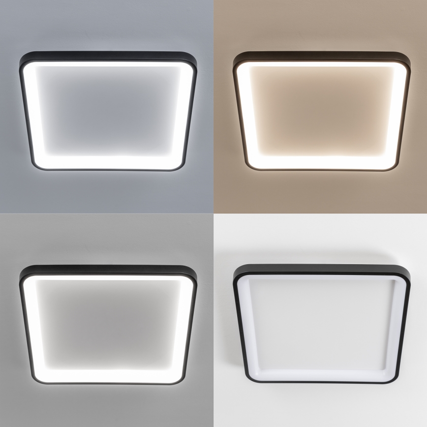 Brilagi - FALCON SLIM LED dimmable ceiling light LED/50W/230V 3000-6500K 50x50 cm black + remote control