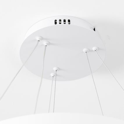 Brilagi - LED Dimmable pendant light on cable FALCON SLIM LED/68W/230V 3000-6500K Ø 50 cm white + remote control