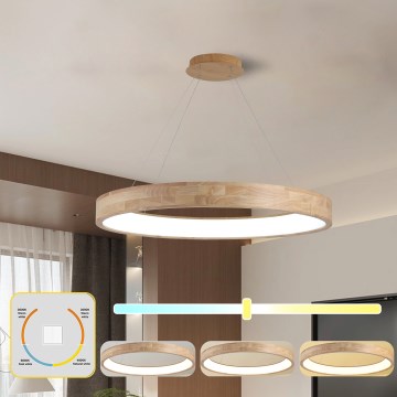 Brilagi - FALCON WOOD cable-suspended LED chandelier LED/60W/230V 3000/4000/6000K Ø 80 cm wood