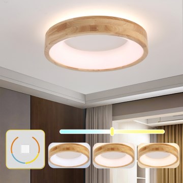Brilagi - FALCON WOOD LED Ceiling Light, 30W, 230V, 3000/4000/6000K, Ø45 cm, Wood