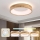 Brilagi - FALCON WOOD LED Ceiling Light, 30W, 230V, 3000/4000/6000K, Ø45 cm, Wood