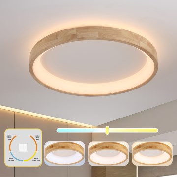 Brilagi - FALCON WOOD LED Ceiling Light, 60 W, 230 V, 3000/4000/6000 K, Ø 80 cm, wood