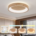 Brilagi - FALCON WOOD LED Ceiling Light LED/40W/230V 3000/4000/6000K Ø 60 cm wood