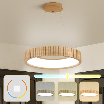 Brilagi - FALCON WOOD MODERN LED Cable-Hung Pendant, 30W, 230V, 3000/4000/6000K, Ø45 cm, Wood
