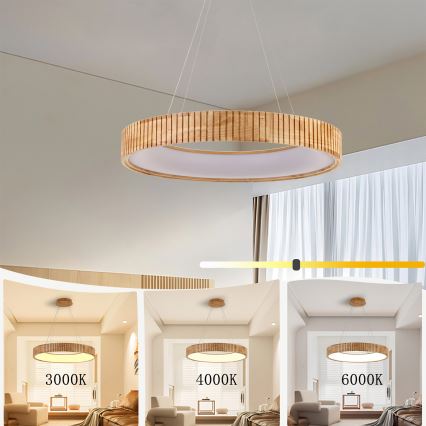 Brilagi - LED pendant on cable FALCON WOOD MODERN LED/40W/230V 3000/4000/6000K Ø 60 cm wood