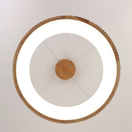 Brilagi - LED pendant on cable FALCON WOOD MODERN LED/40W/230V 3000/4000/6000K Ø 60 cm wood