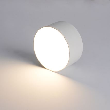 Brilagi - FORIS LED Bathroom Ceiling Light/14W/230V Ø 12 cm White IP44