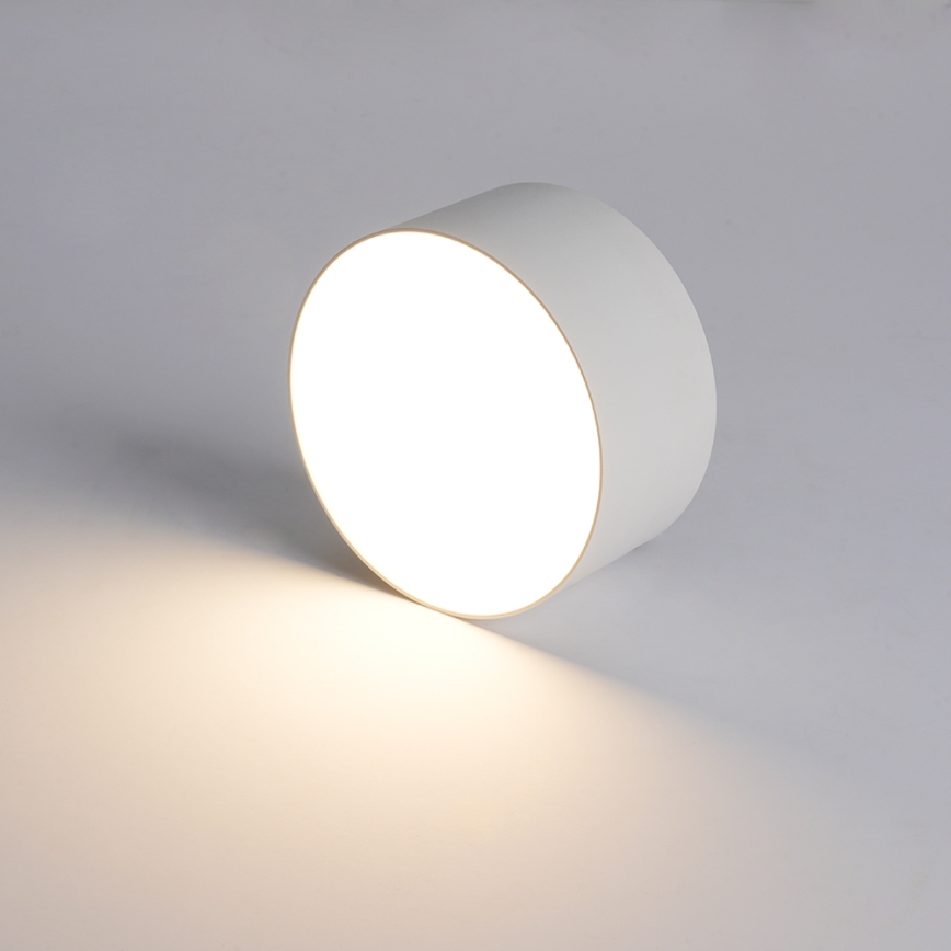 Brilagi - FORIS LED Bathroom Ceiling Light/14W/230V Ø 12 cm White IP44