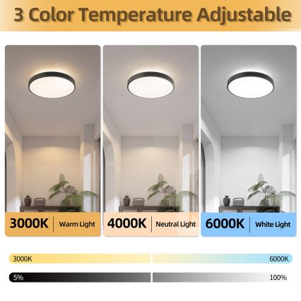 Brilagi - GLASS POOL DOUBLE Dimmable LED Ceiling Light LED/48W/230V 3000-6000K 40 cm Black + Remote Control
