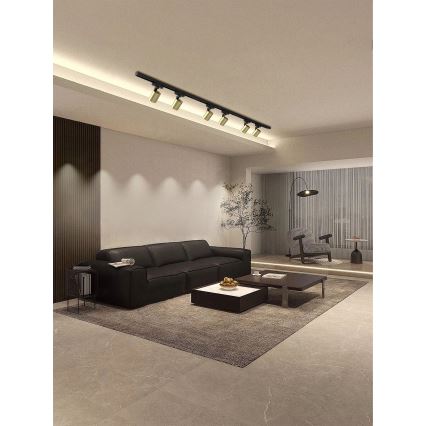 Brilagi - HUSKY Track Spotlight 6xGU10/10W/230V Black/Gold