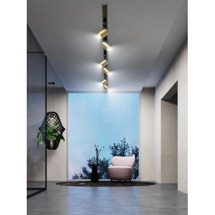 Brilagi - HUSKY Track Spotlight 6xGU10/10W/230V Black/Gold